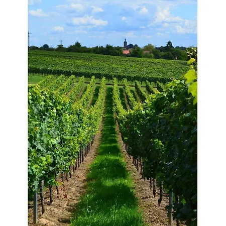 Sonnenberg Comfortable Holiday home Silz (Rhineland-Palatinate)